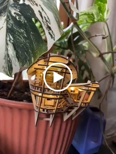 Customer video review of Tropical Lookout