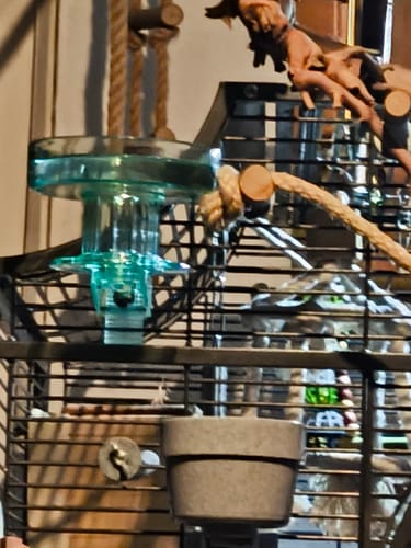 Customer photo review of Badeschüssel