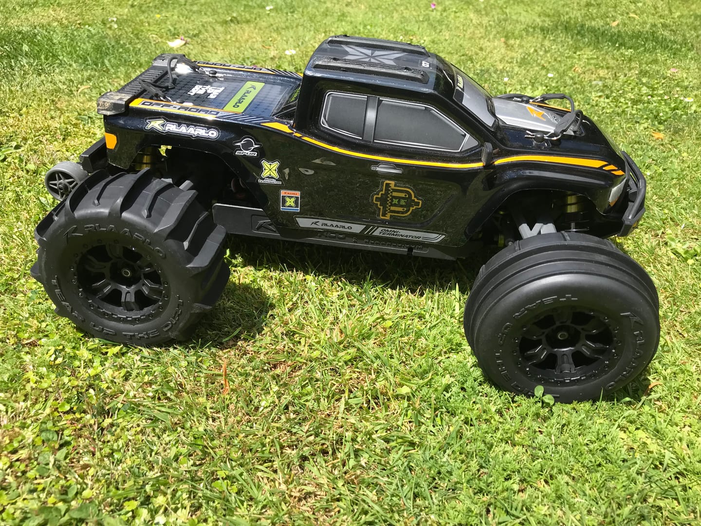 Customer photo review of RC Paddle Tires For RZ001