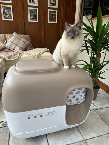 Customer photo review of Self-Cleaning Litter Box