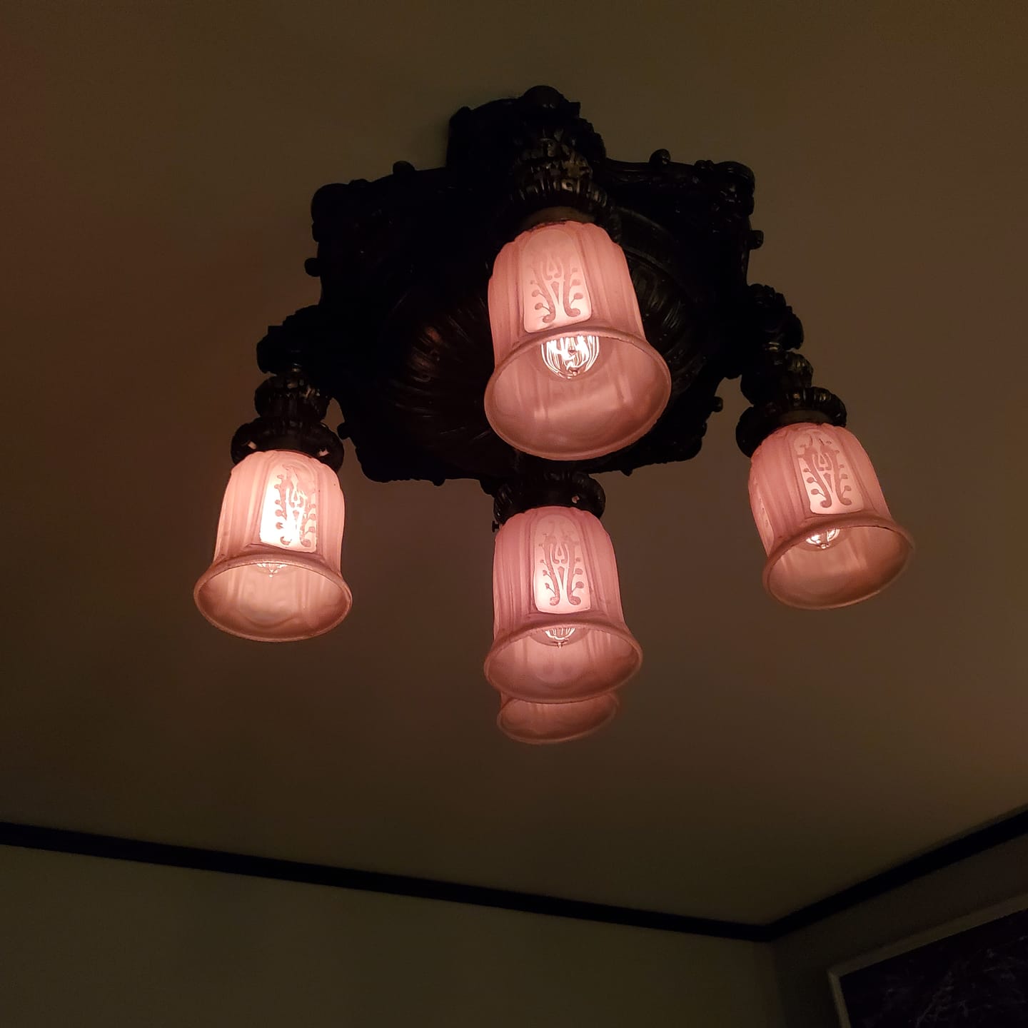 Customer photo review of Edison Style - Vintage Antique 60 Watt Bulb - 4.95 in. Length