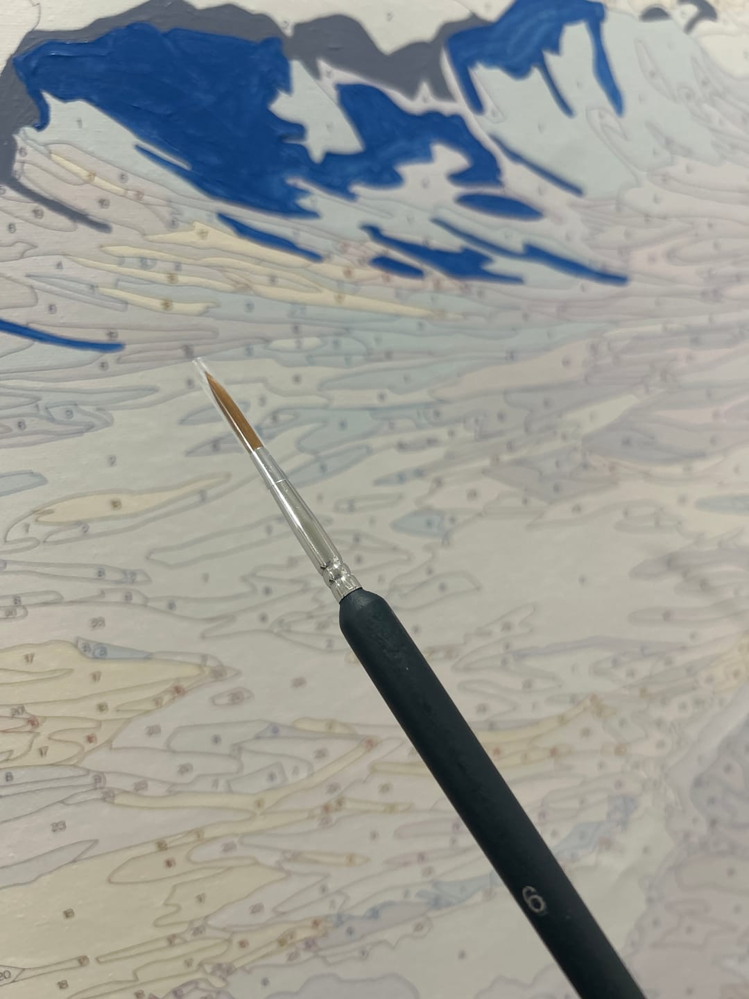 Customer photo review of Professional Detail Brushes (Set Of 9)