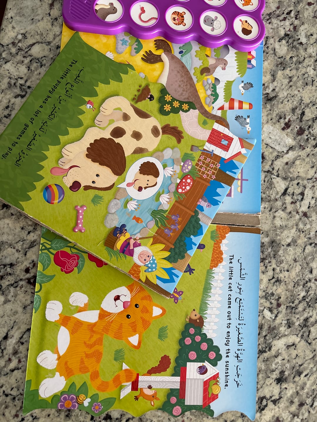 Customer photo review of Animals/ الحيوانات