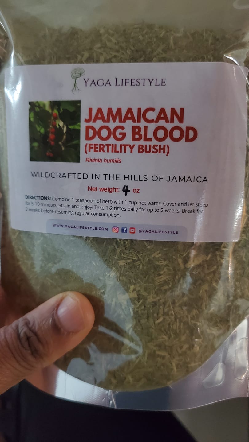 Customer photo review of Jamaican Dog Blood Bush | Fertility Herb | Rivinia Humilis