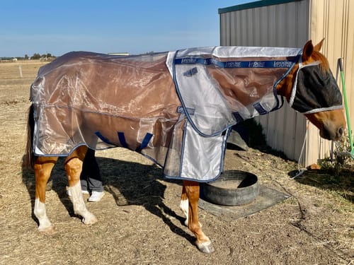 Customer photo review of LE Defender Anti-Insect Rug