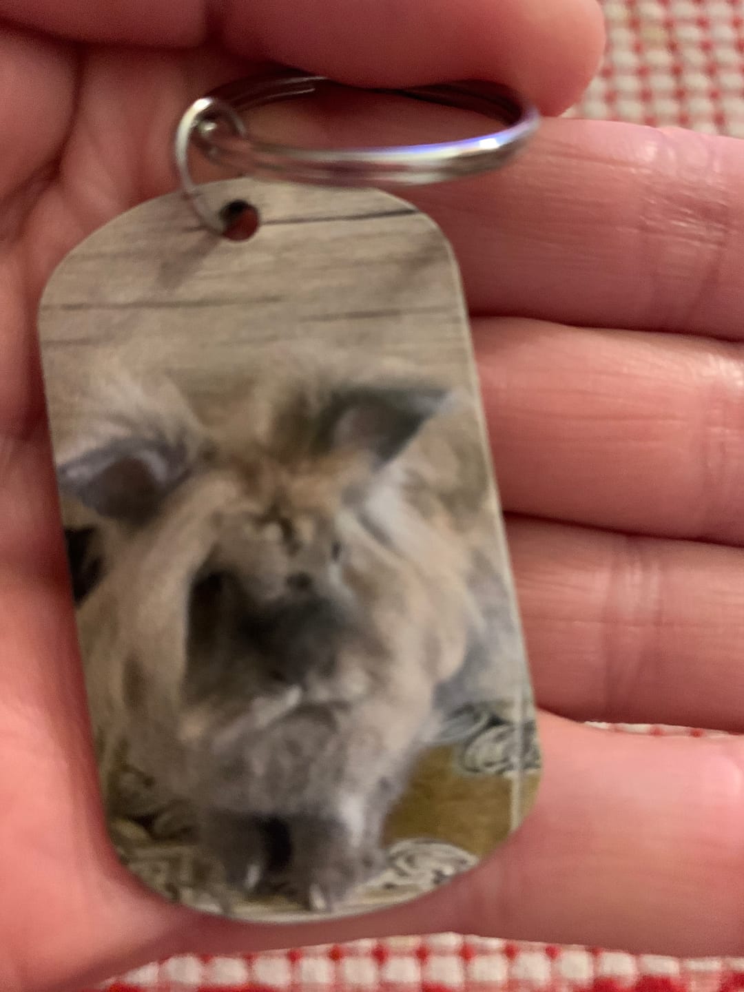 Customer photo review of Per sempre nel cuore - Portachiavi piastrina personalizzato
