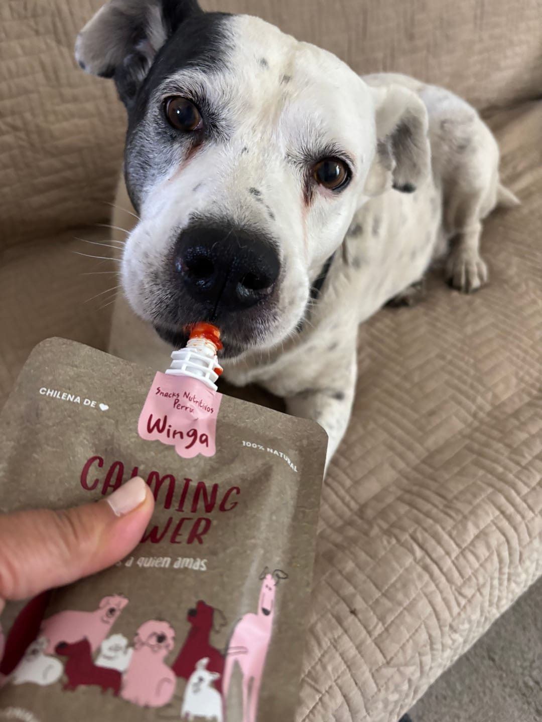Customer photo review of Calming Power