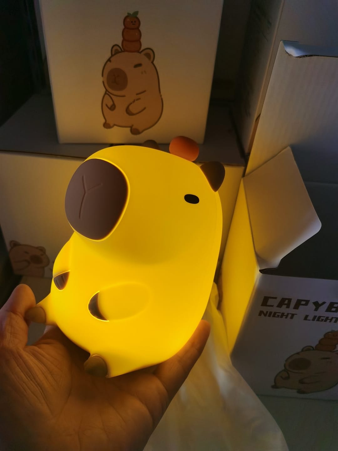 Customer photo review of MeWaii® Capybara Squishy Night Light - Perfect Gift 🎁