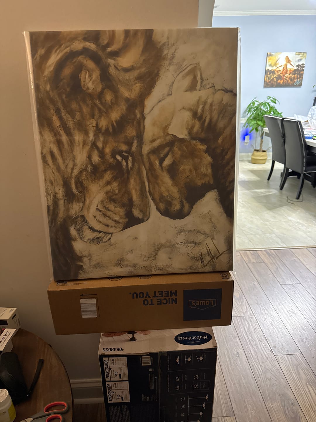 Customer photo review of Compassion of a King - White Background