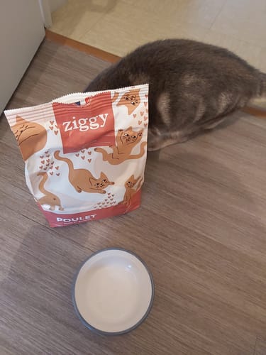 Avis photo d'un client sur Coffret Découverte Chaton - 1kg Croquettes + 8 Pâtées + 3 probiotiques