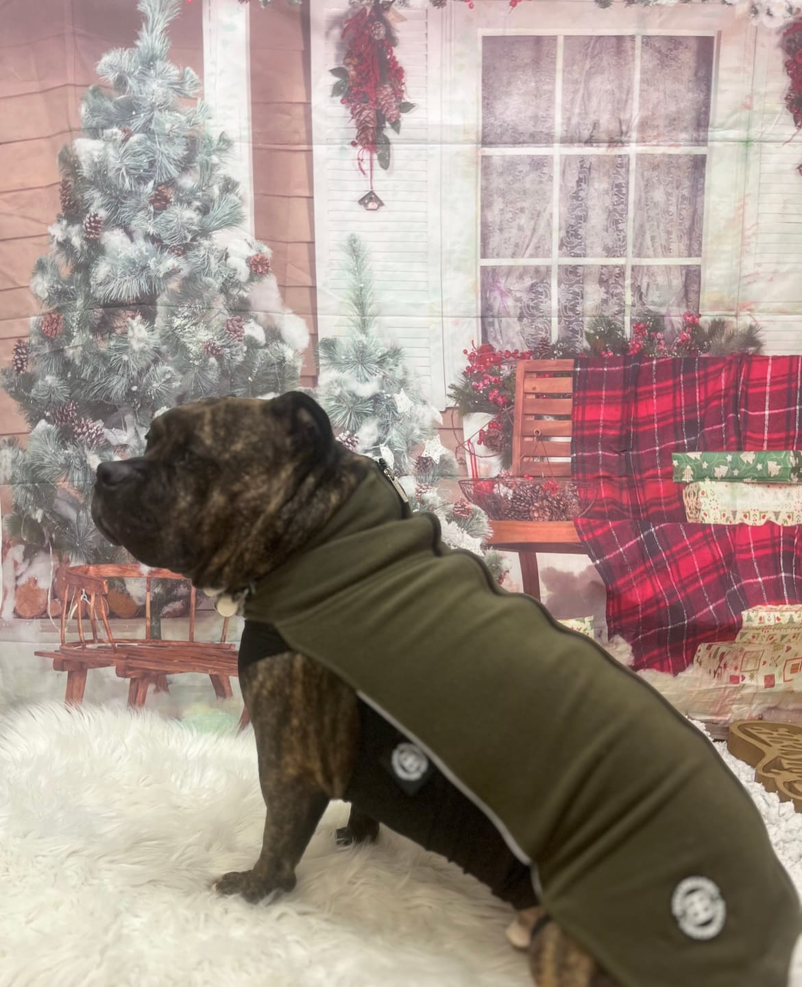 Customer photo review of Dog Fleece With Zip - Khaki