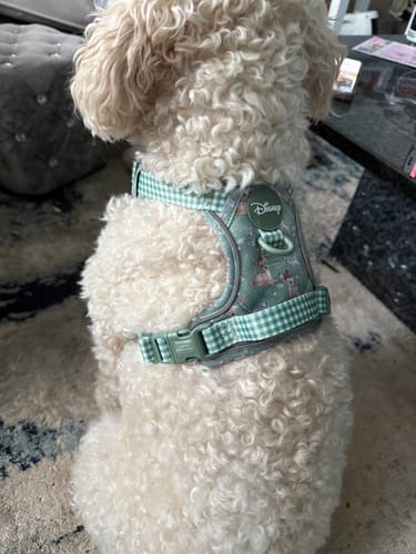 Customer photo review of Disney© Tough Trails™ Harness - Bambi + Thumper