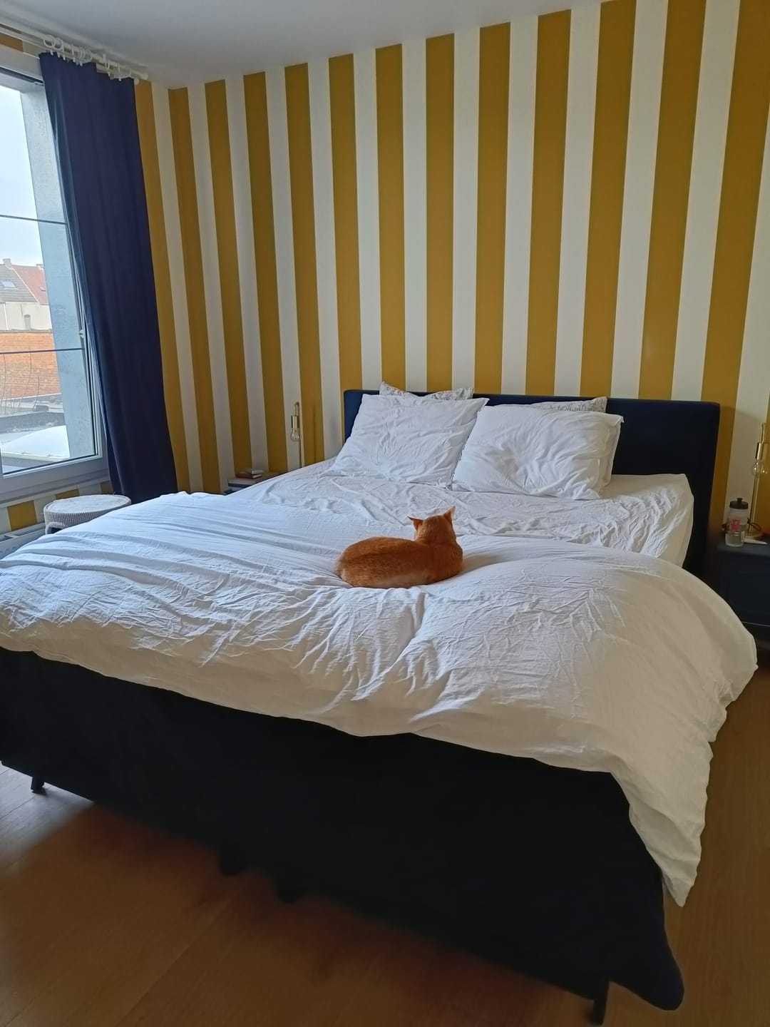 Customer photo review of Dekbedovertrek katoen satijn wit