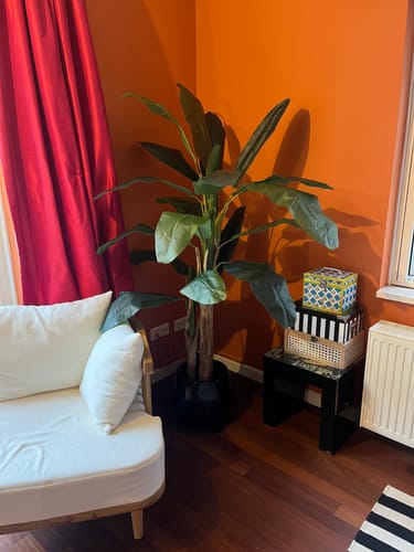 Customer photo review of Kunst Bananenplant 180cm