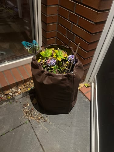 Customer photo review of Thermo Topfschutz L für Pflanzenüberwinterung H 50 cm x Ø 45 cm