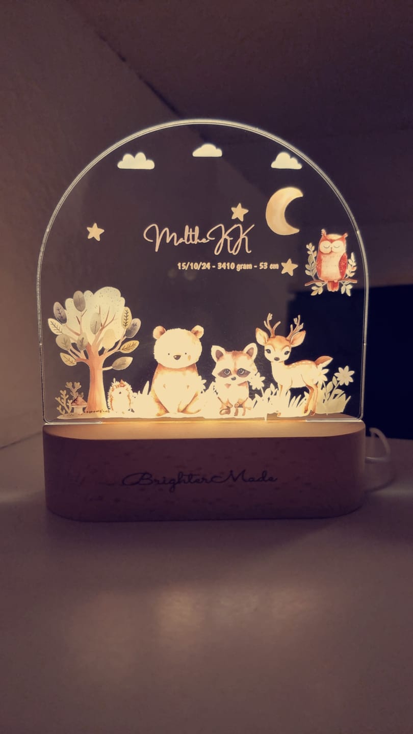 Customer photo review of Animal Friends - Personalized Night Light