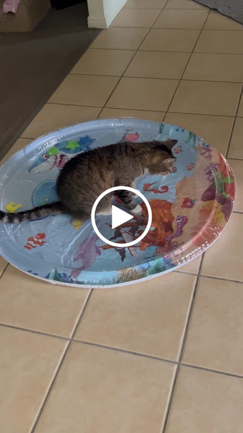 Customer video review of Upgraded Thickness Pet Cooling Water Bed