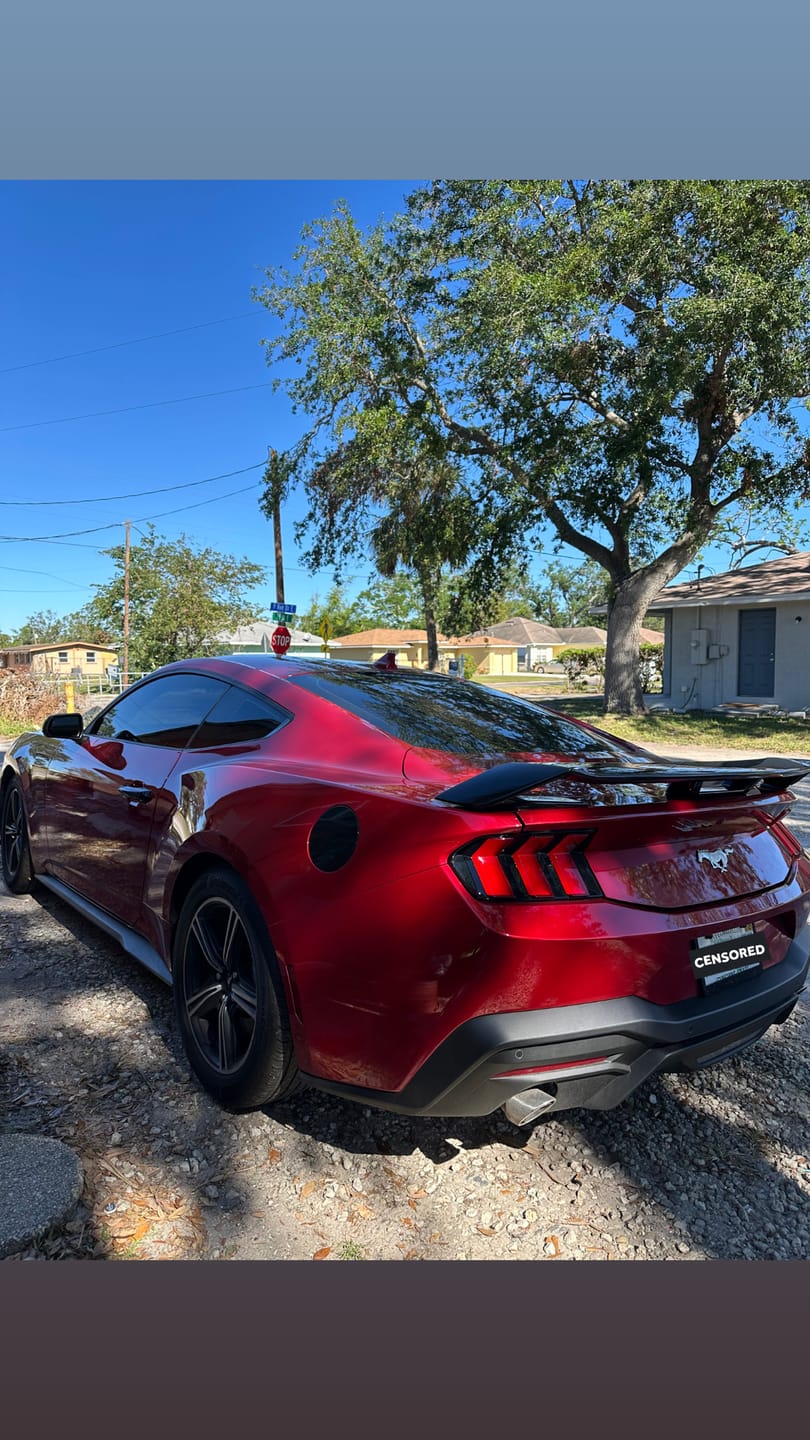 Customer photo review of 2024-Up Mustang GT Rear Spoiler