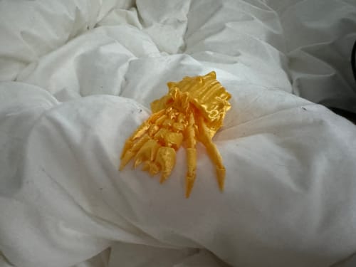 Customer photo review of 3D Sensory Toy Sensory Hermit Crab Fidget