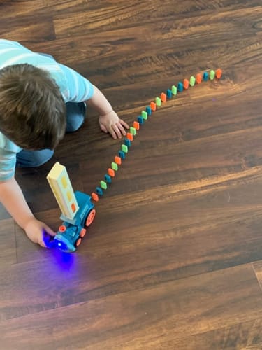 Customer photo review of Automatic Domino Train