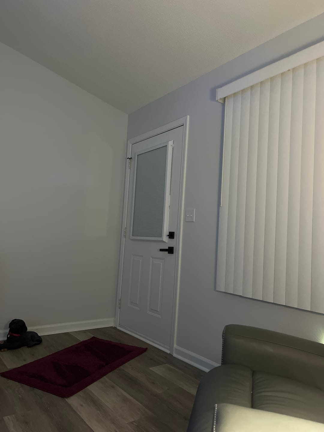 Customer photo review of Add On Blinds Kit (installs on top of existing door glass)