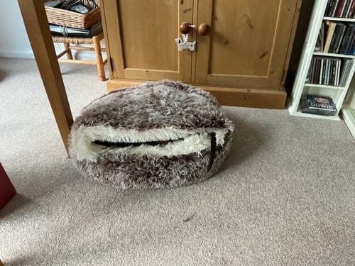 Customer photo review of Burrow Buddy™ - Pet Bed