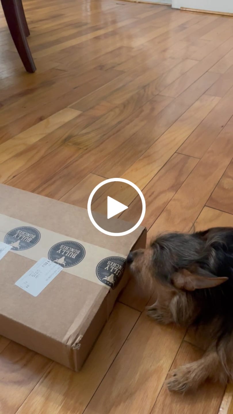 Customer video review of Bully Bargain Bag