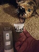 Customer photo review of Neakasa P2 Pro 5-in-1 Dog Cat Grooming Kit with Vacuum