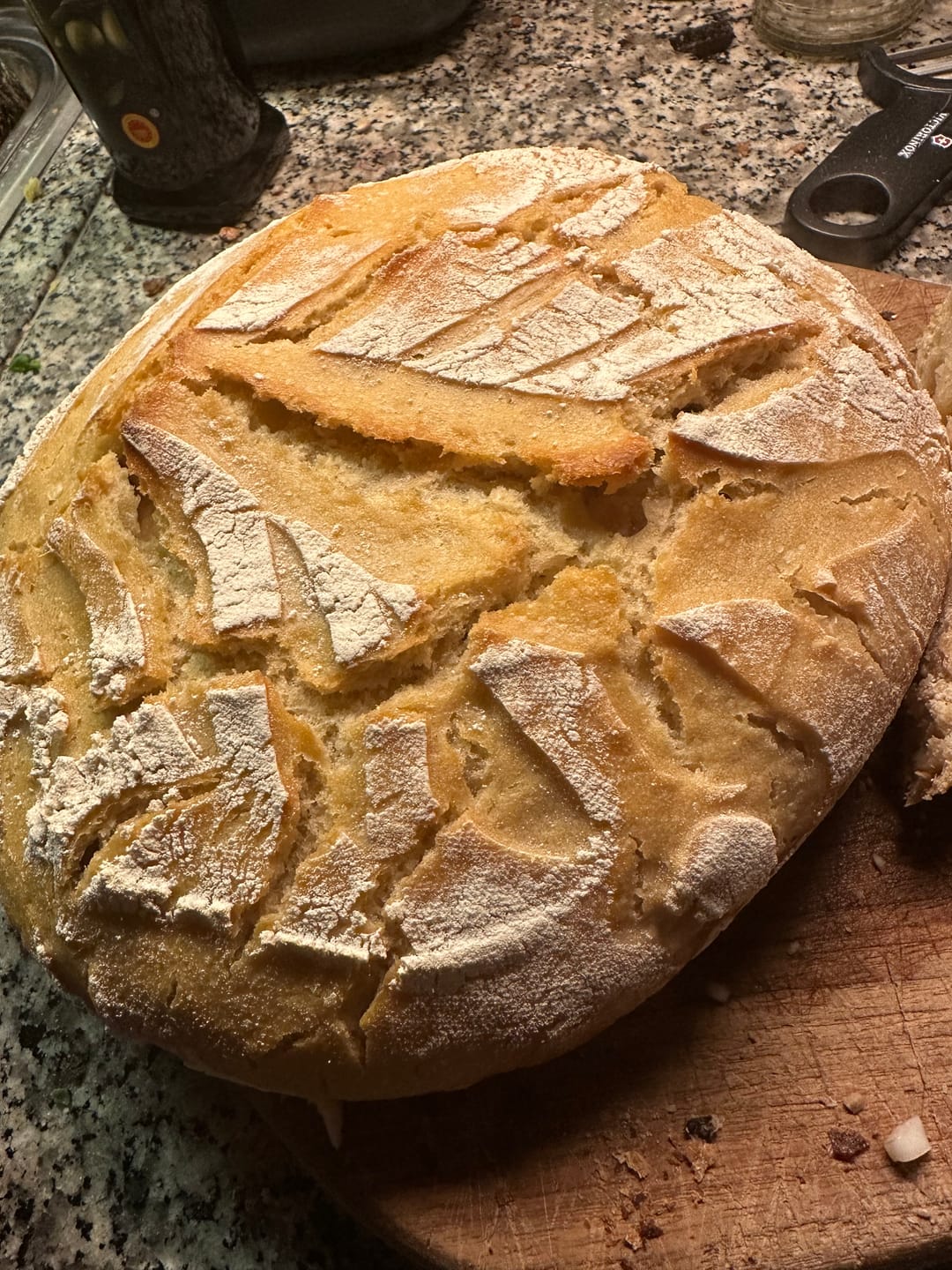 Customer photo review of BIO Brotback-Set: Sauerteig-Wunder mit Vollausstattung