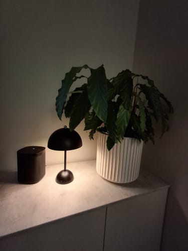 Customer photo review of Bordslampa - Svamplampa Flowerbud - Batteridriven 5000 mAH