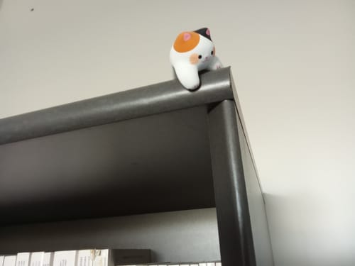 Customer photo review of Figurine Chat Neko Joueur