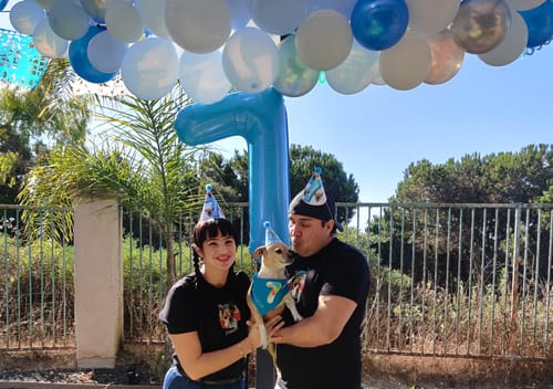 Customer photo review of Personalized Dog Party Pack