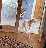 Customer photo review of Neakasa P2 Pro 5-in-1 Dog Cat Grooming Kit with Vacuum