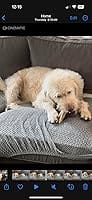 Customer photo review of Neakasa P2 Pro 5-in-1 Dog Cat Grooming Kit with Vacuum