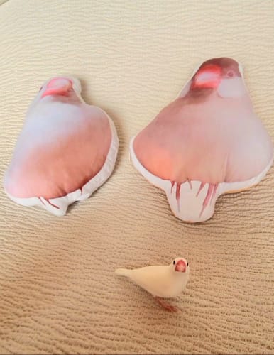 Customer photo review of 本物そっくり♪オーダーメイドクッション