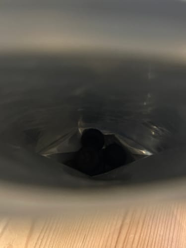 Customer photo review of Mushroom Gummies