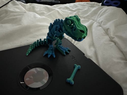 Customer photo review of 3D Sensory Toy Dinosaur Fidget