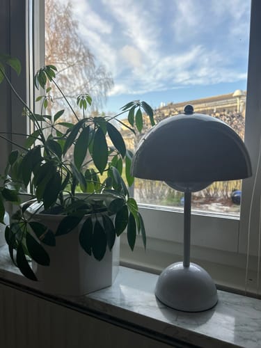 Customer photo review of Bordslampa - Svamplampa Flowerbud - Batteridriven 5000 mAH
