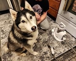 Customer photo review of Neakasa P2 Pro 5-in-1 Dog Cat Grooming Kit with Vacuum
