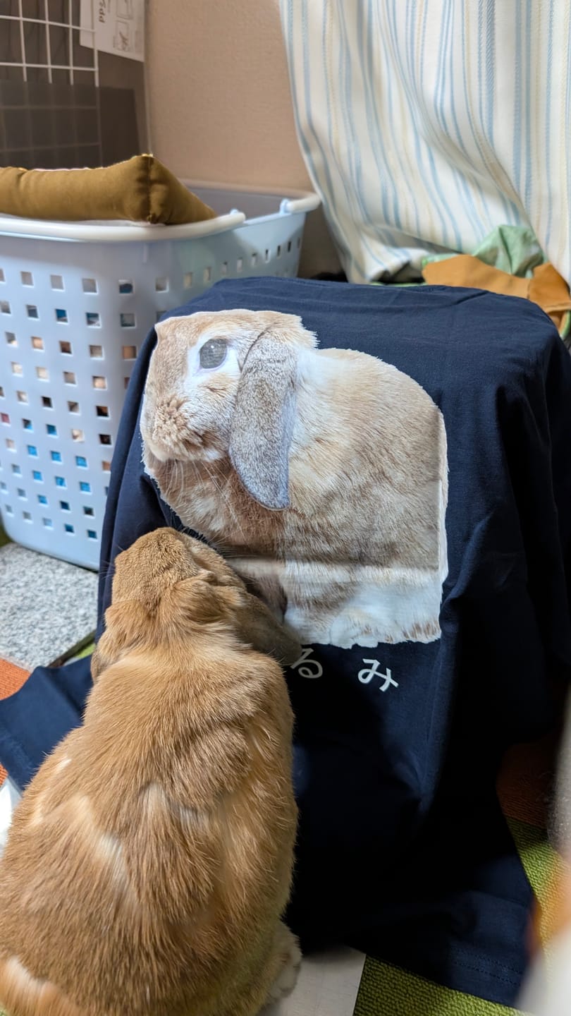 Customer photo review of 好きな写真と文字で作るオリジナルプリントTシャツ