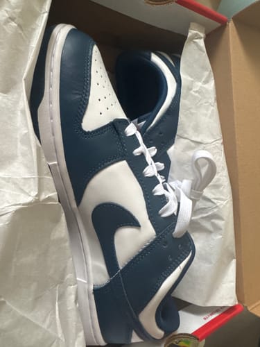 Customer photo review of Nike Dunk Low Valerian Blue