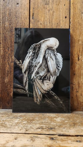 Customer photo review of Acrylic Mounting Panel - 20 x 30 cm