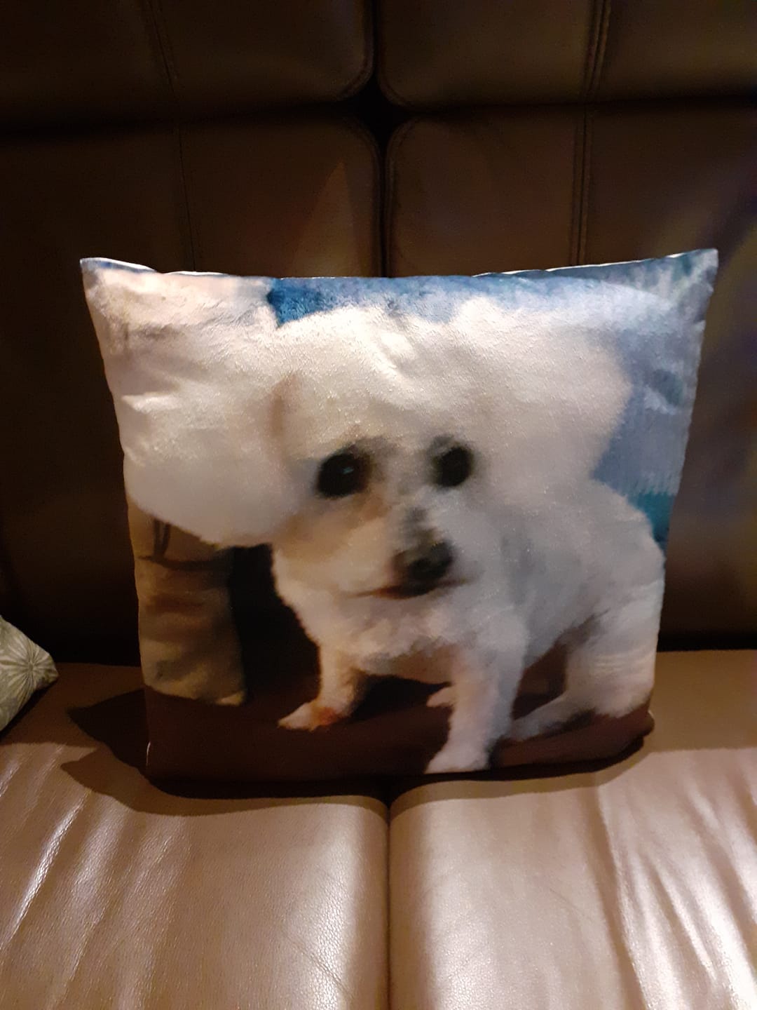 Customer photo review of Avec photo - Coussin personnalisé