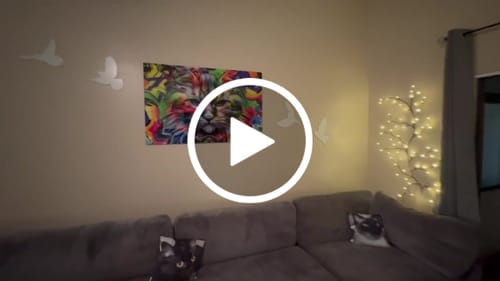 Customer video review of Birds - Metal Wall Art