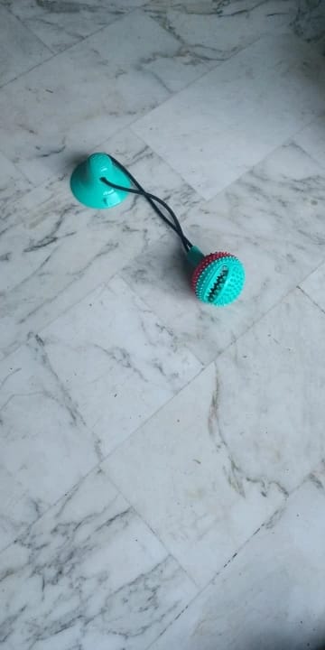 Customer photo review of Large Dog Ball Toys Suction Cup Ropes Interactive Leaking Slow Feeder Chew Toy Toothing Clean Golden Retriever Big Pet Supplies