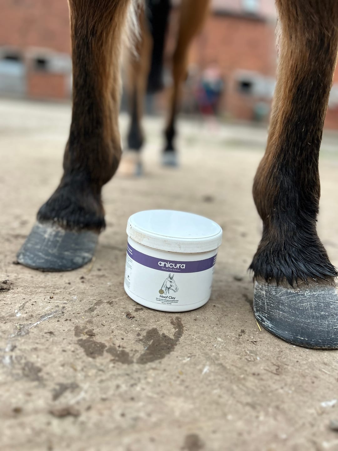 Customer photo review of Horse Hoof Clay