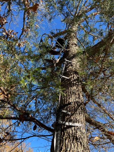 Customer photo review of Compact Double Climbing Sticks