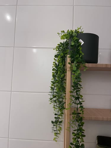 Customer photo review of Eucalyptus Kunst Hangplant 2 takken 65cm