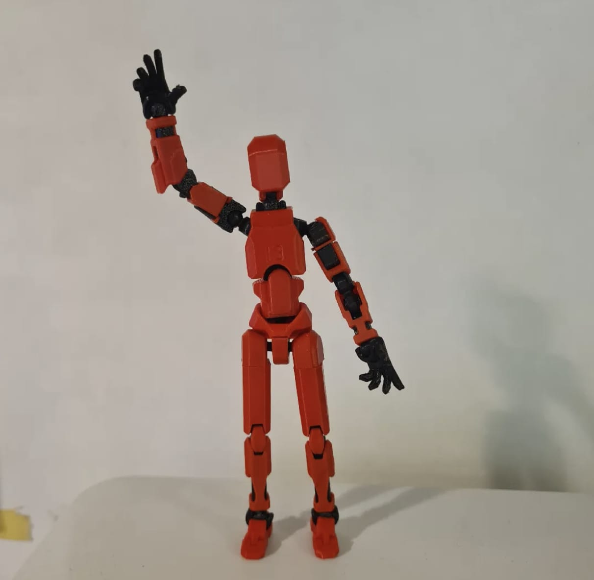 Customer photo review of Dummy 13