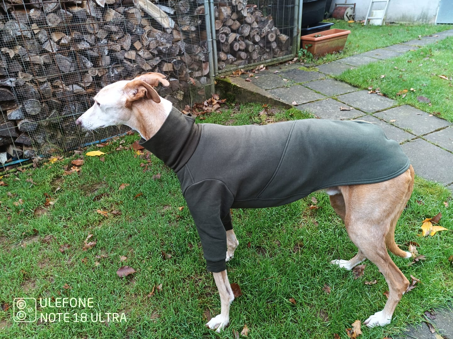 Customer photo review of Aspen "Mountain Green"